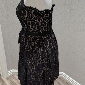 Robert Rodriguez lace fit and flare dress
